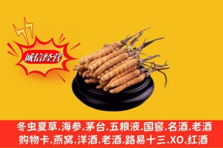 武鸣区求购回收虫草多少钱每克